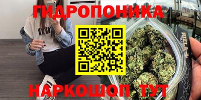 кокс Будённовск