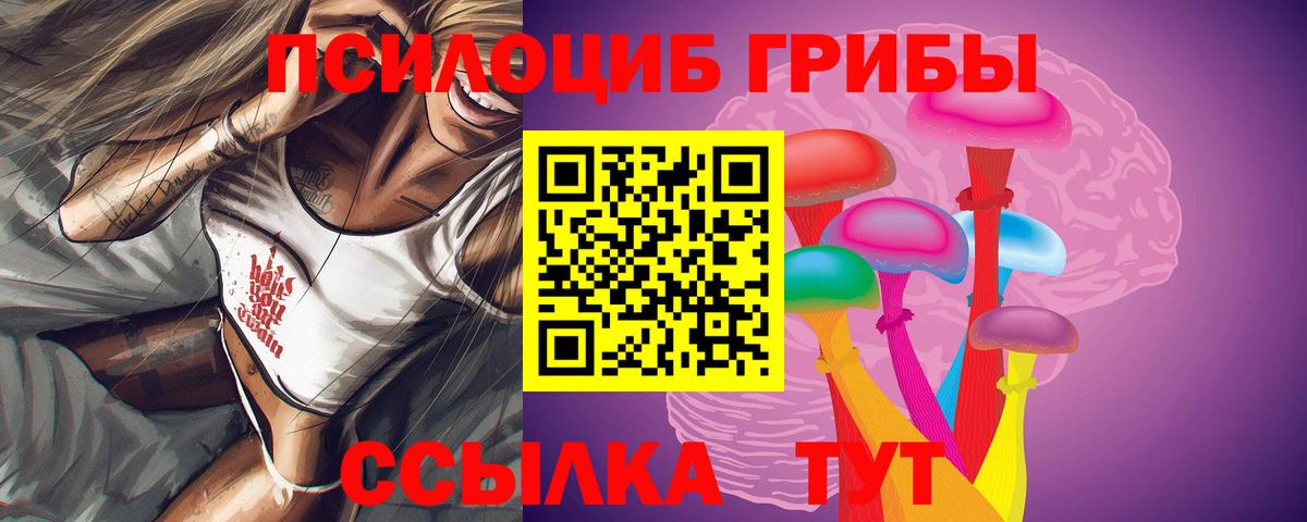 Псилоцибиновые грибы GOLDEN TEACHER  дарнет шоп  Таганрог  Псилоцибиновые грибы мицелий  Вход с VPN 